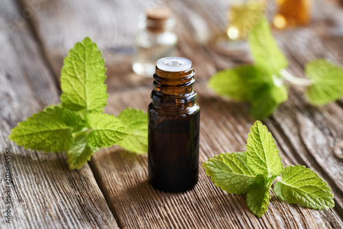 Cuadro en lienzo A bottle of melissa essential oil with fresh melissa leaves