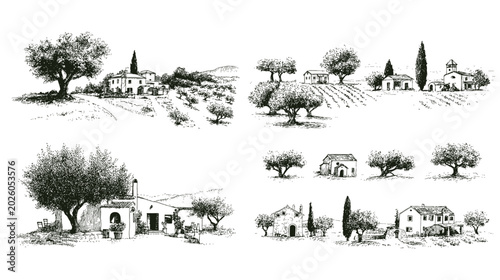 Olive trees landscape sketch, mediterranean countryside house illustration