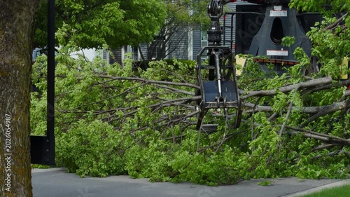 Tree service truck collecting large branches during residential tree removal and cleanup operation in suburban neighborhood.