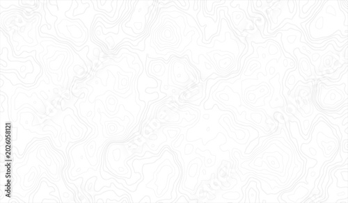 Foto Gray Abstract Seamless Topographic map and landscape terrain texture grid, Abstract lines background