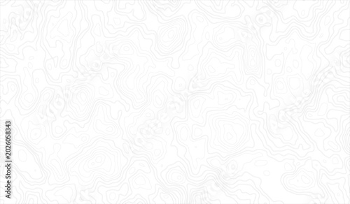 Fotografie Gray Abstract Seamless Topographic map and landscape terrain texture grid, Abstract lines background