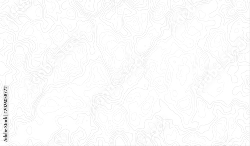 Fotografie Gray Abstract Seamless Topographic map and landscape terrain texture grid, Abstract lines background