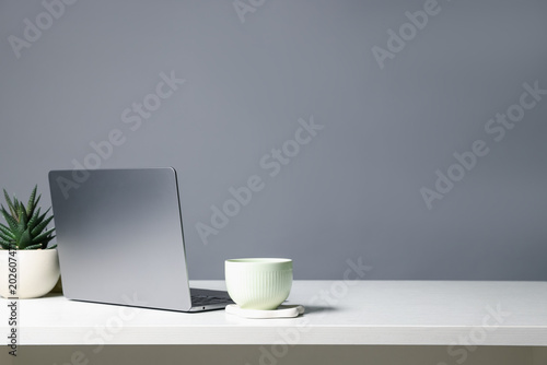 Stylish workplace. Laptop, cup and houseplant on white table against gray background. Space for text