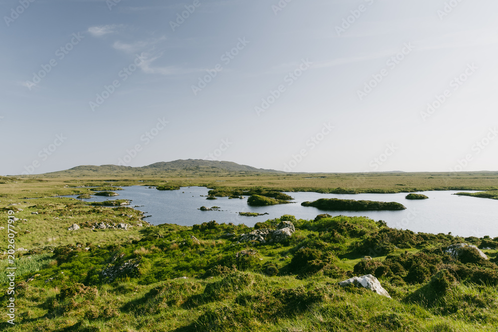 Obraz premium Wild lake and bog landscape at Roundstone Bog in Connemara, County Galway, Ireland. Scenic peatland wilderness near Roundstone with views toward the Twelve Bens.