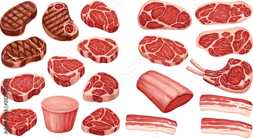 Tableau sur toile Realistic vector illustration bundle featuring mixed raw and grilled meat cuts i