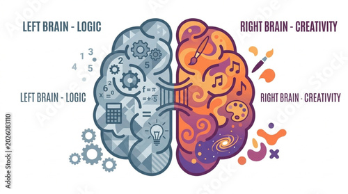 Left Brain Logic Right Brain Creativity Illustration.