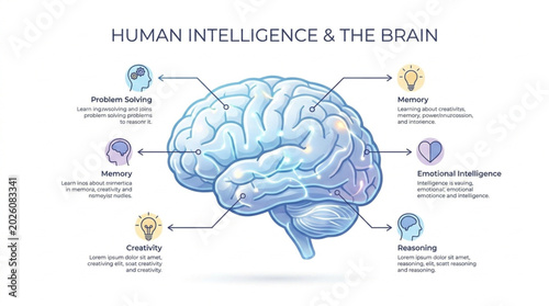 Bild auf Leinwand Human Brain Anatomy and Intelligence Functions Illustration.