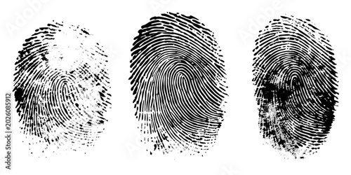 Quadro su tela fingerprint trio black and white biometric details on white background