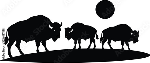 Quadro su tela Three bison standing on a hill under a full moon