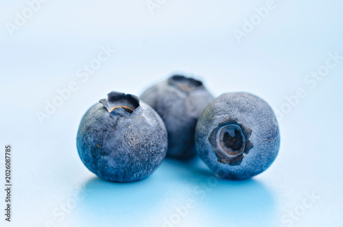 Three fresh blueberries close up on light blue background