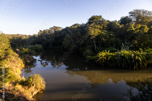 Photos A tranquil view over the Mlawula River as it flows through the dense riverine fo