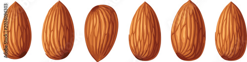 Fotografie Vector illustration of six whole almonds on a transparent background, healthy nu