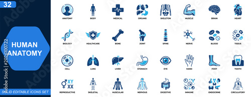 Fényképezés Human anatomy icon set