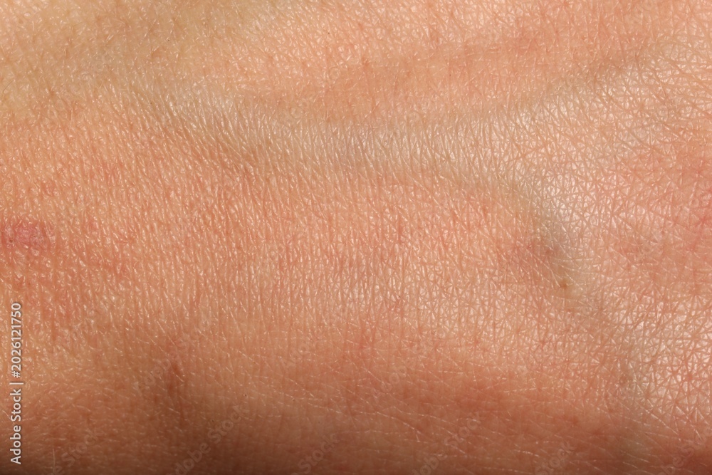 Fototapeta premium Texture of normal skin as background, closeup