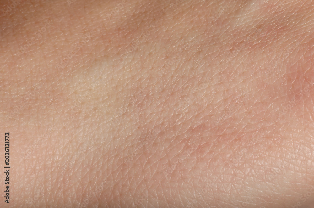 Fototapeta premium Texture of normal skin as background, closeup