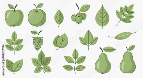 Green leaves and fruits illustration set.