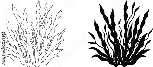 Black silhouette and outline of seaweed icon. simple sketch isolated on transparent background.