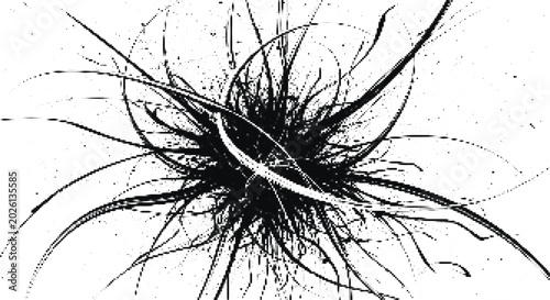 Photos Abstract thorny growth halftone pattern black spiky tendrils transparent background organic complex design element