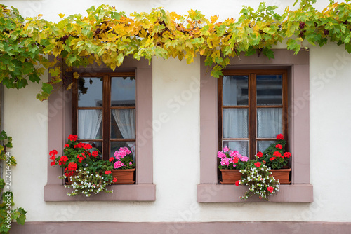 Εκτύπωση καμβά Two sash windows with flower boxes
