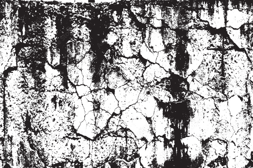 Obraz premium Black and White Cracked Concrete Wall Grunge Texture