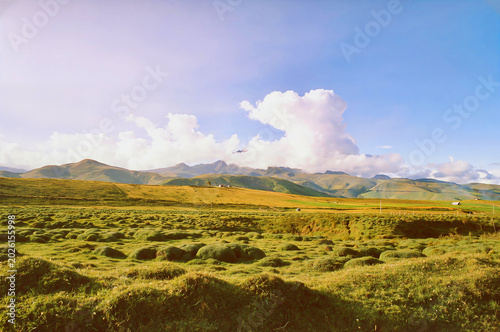 Cotopaxi National Park is one of Ecuador's most iconic protected areas, famous for being home to the Cotopaxi volcano, one of the world's highest active volcanoes at 5,897 meters above sea level. 