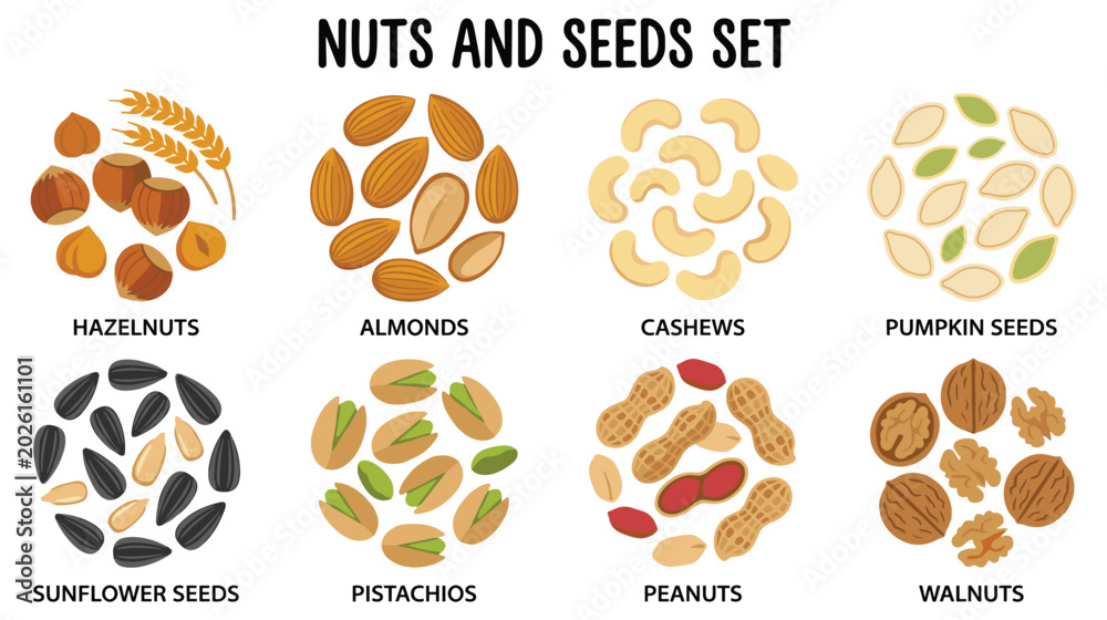 Fototapeta premium Healthy raw nuts and seeds collection with hazelnut almond cashew.