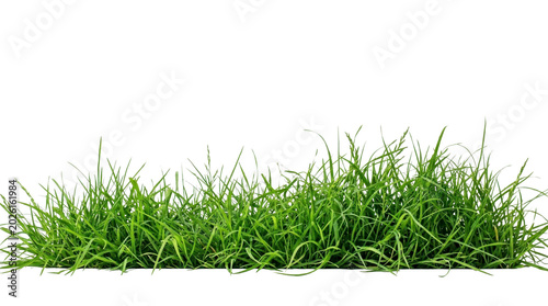 Fresh Green Grass Patch on a transparent background PNG image