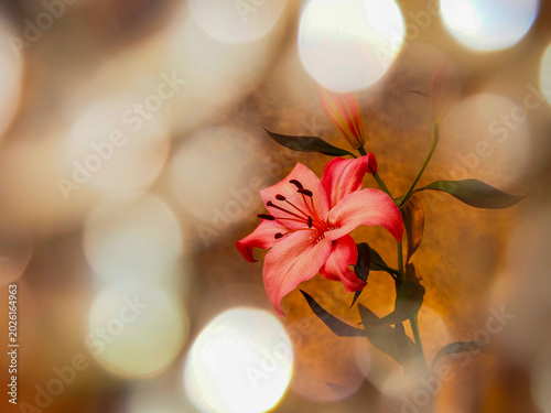 Fotografía Fancy pink lily blooms with dewy petals framed by soft bokeh glow