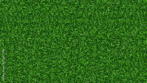 Cuadro en lienzo A fresh green grass texture top view background presents a natural pattern of vibrant lawn turf in a summer meadow