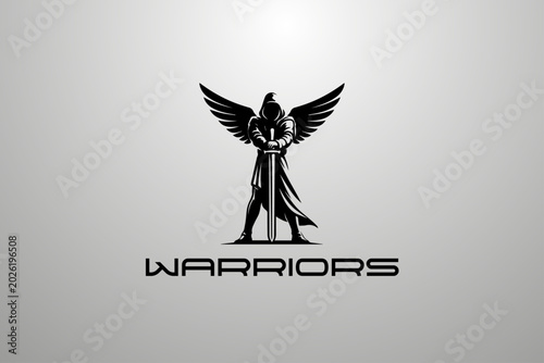 Fighter angel with wings and sword