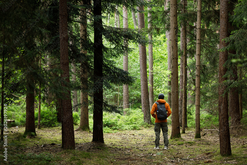 Fototapeta premium Man hiking in the Forest. Travel, tourism, adventure and healthy active lifestyle in nature