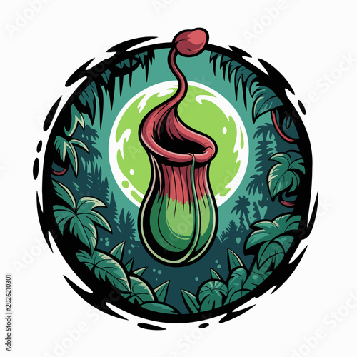 Photos Venus Flytrap Insectivorous Plant Species.