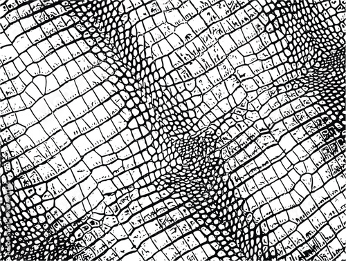 Foto Organic crocodile skin texture vector graphic element