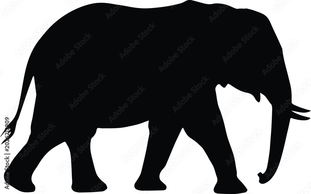 Fototapeta premium elephant silhouette black walking vector isolated on white background