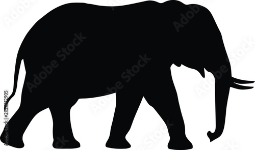 Photos elephant silhouette african walking animal black vector art isolated