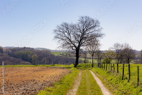 Φωτογραφία Winding nature gravel path, Scenic rural landscape with trees, grass, Walking trail and farm track with lush green meadows under blue clear sky, Belgian countryside in spring, Visé, Wallonia, Belgium