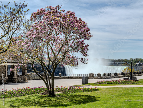Tableau sur toile Spring, Niagara Falls Ontario