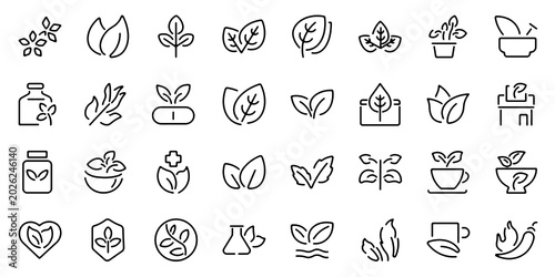 Fotografía Minimal herb and basil outline icon set