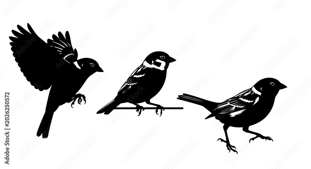 Fototapeta premium Three black birds on a branch.