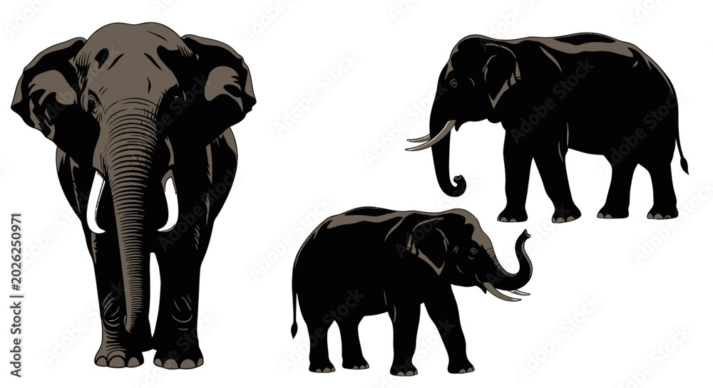 Fototapeta premium Three Black Silhouette Elephant Family.