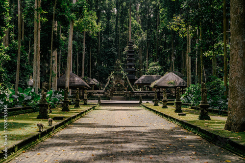 Photography Traditional Balinese Hindu Temple in Sacred Monkey Forest Sangeh Bali