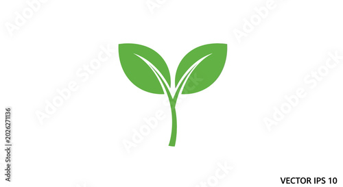 Bild auf Leinwand Green leafy plant sprout growing.