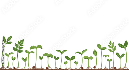 Foto Variety of young green seedling plants.
