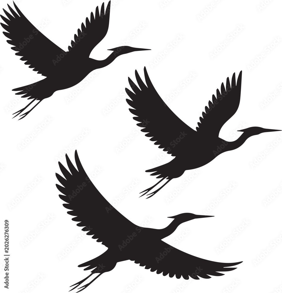 Obraz premium Three black birds flying in formation Vector
