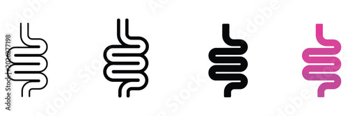 Photos Intestine icon bowel symbol human anatomy digestive tract vector illustration is