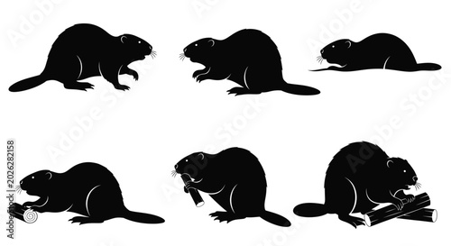 Canvastavla Beaver Silhouette Set: Building, Gnawing, Resting, Walking