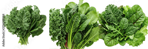 Obraz na płótnie Set and collection of fresh green spinach and kale leaves bunch isolated on whit