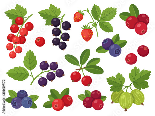An eye-catching collection of fresh berries including strawberries, blueberries, and cranberries, highlighting nature’s vibrant colors and rich flavors in a beautifully illustrated format.