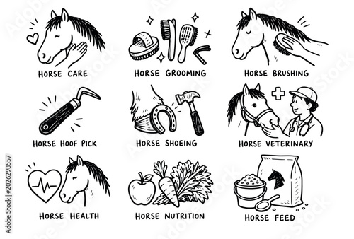 фотографія Horse Care and Health Icons.
