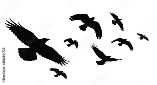 Photography Flock of Birds Silhouettes Flying in Sky
